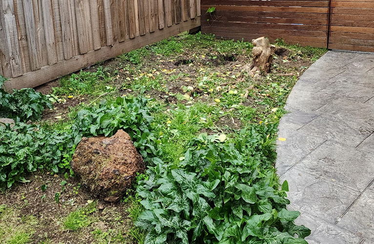 gallery10-before